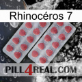 Rhinocéros 7 19